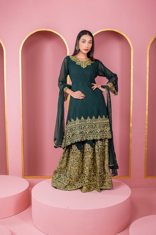 রেডিমেড জর্জেট এমব্রয়ডারি পার্টি ড্রেস - CIANARA